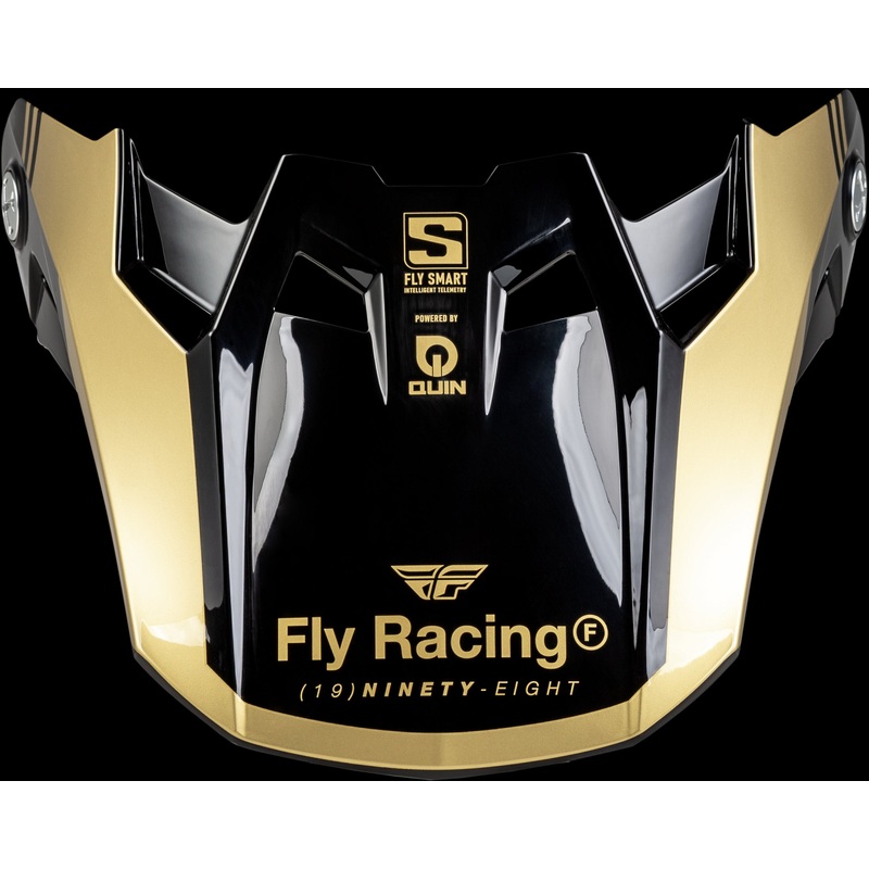 FLY RACING Formula S Carbon Legacy Visor Black/Gold Md/Lg